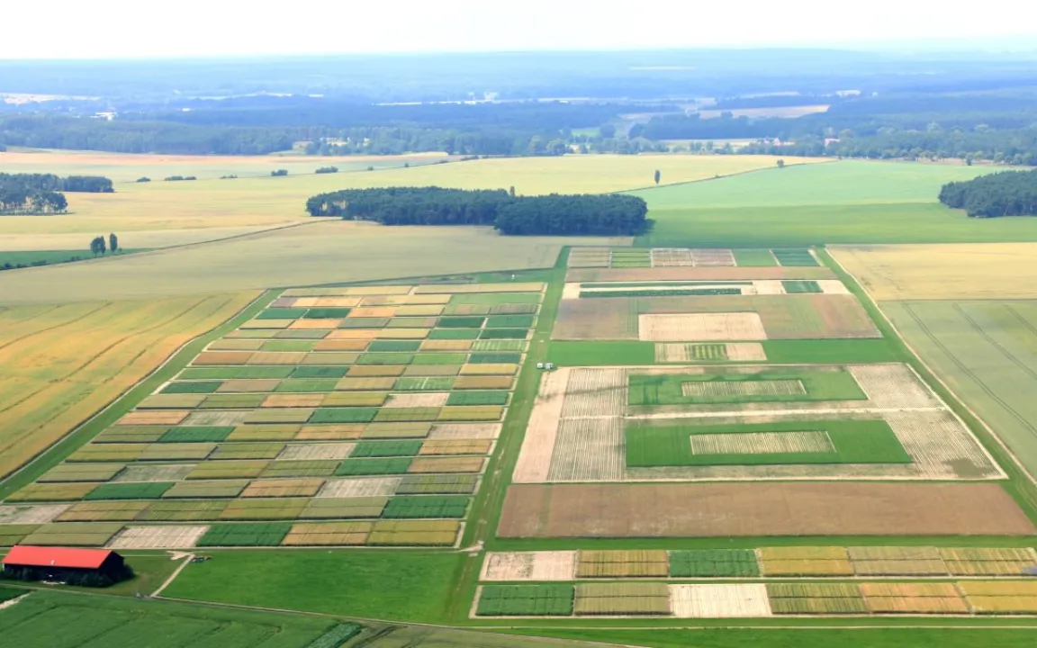 Was passiert, wenn Landwirte weniger düngen und spritzen?