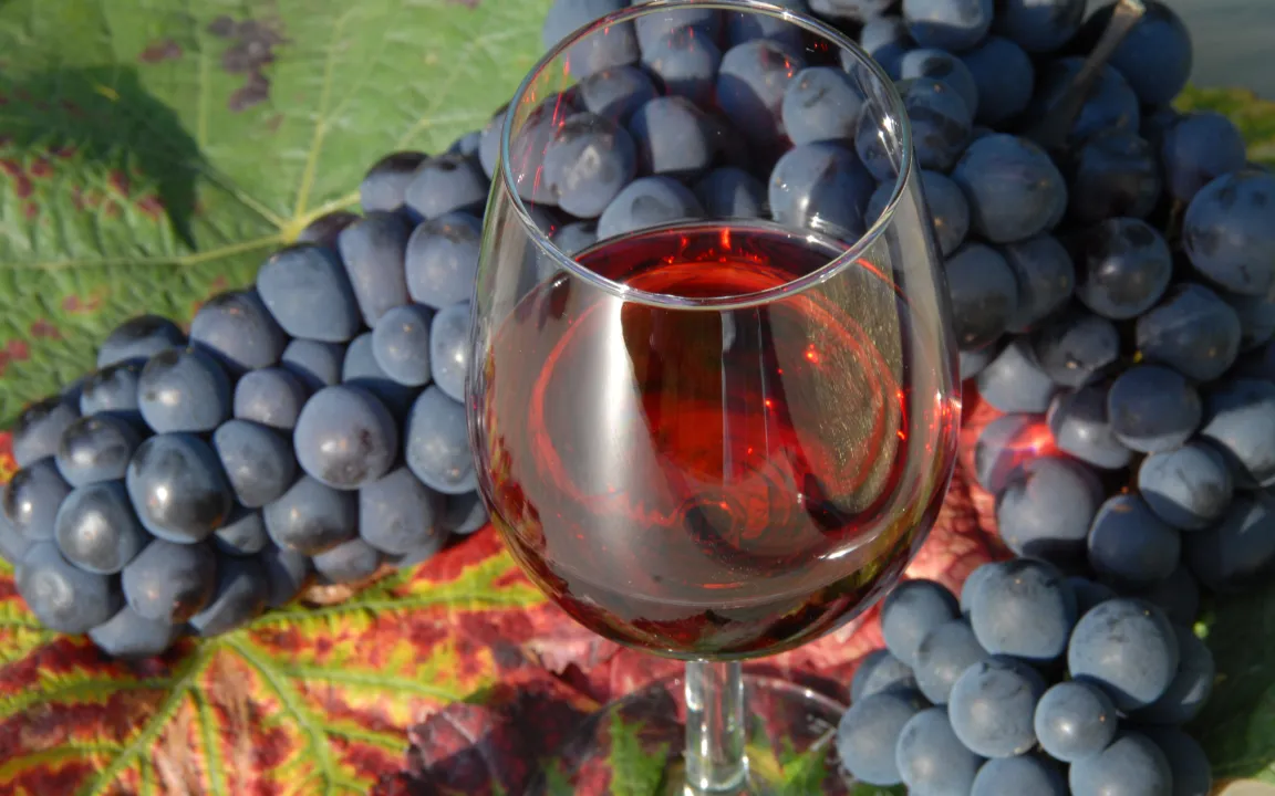 "Weinfreunde können sich auf den Jahrgang 2011 freuen"