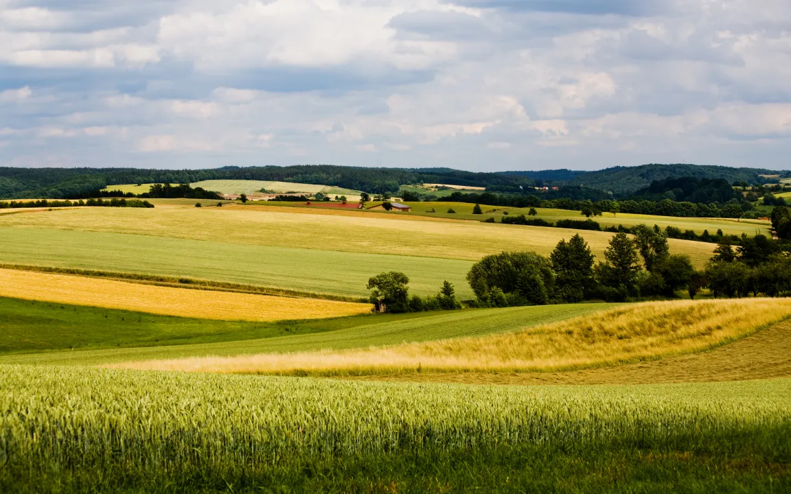 Der Feld- und Flur-Knigge