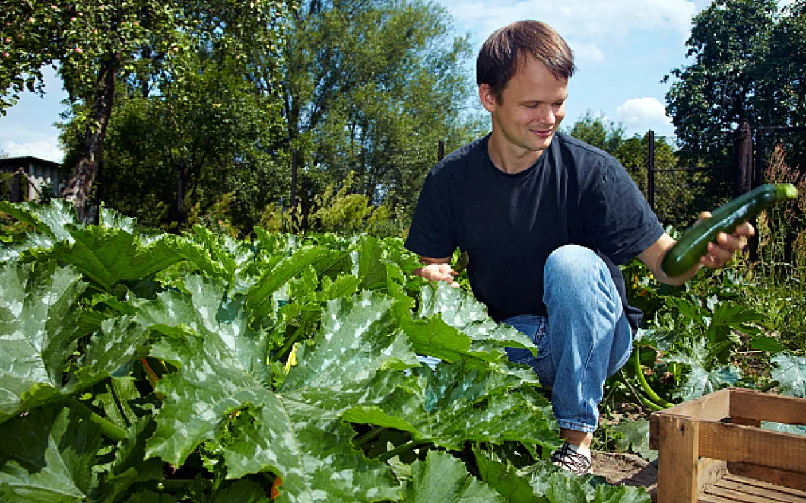 Gesunde Pflanzen durch richtige Fruchtfolge und ausreichende Pausen