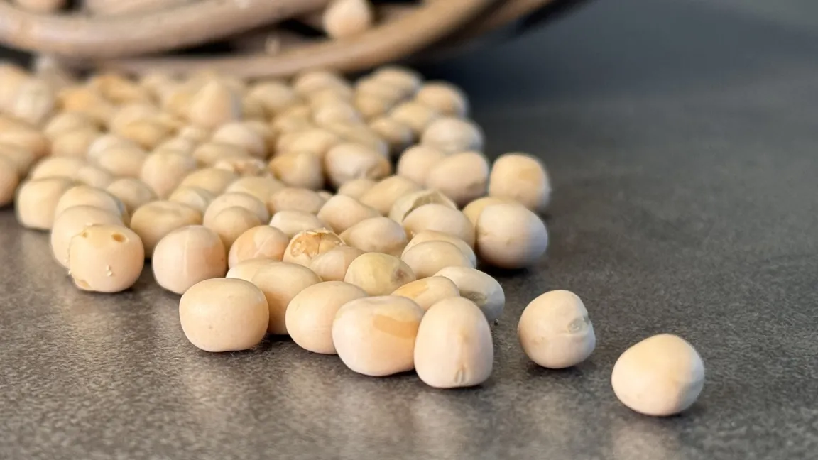 Futtererbsen sind in vielen Futtermischungen enthalten. Außerdem bilden sie oft die Grundlage für die Herstellung von veganen Fleisch- und Milchersatzprodukten.