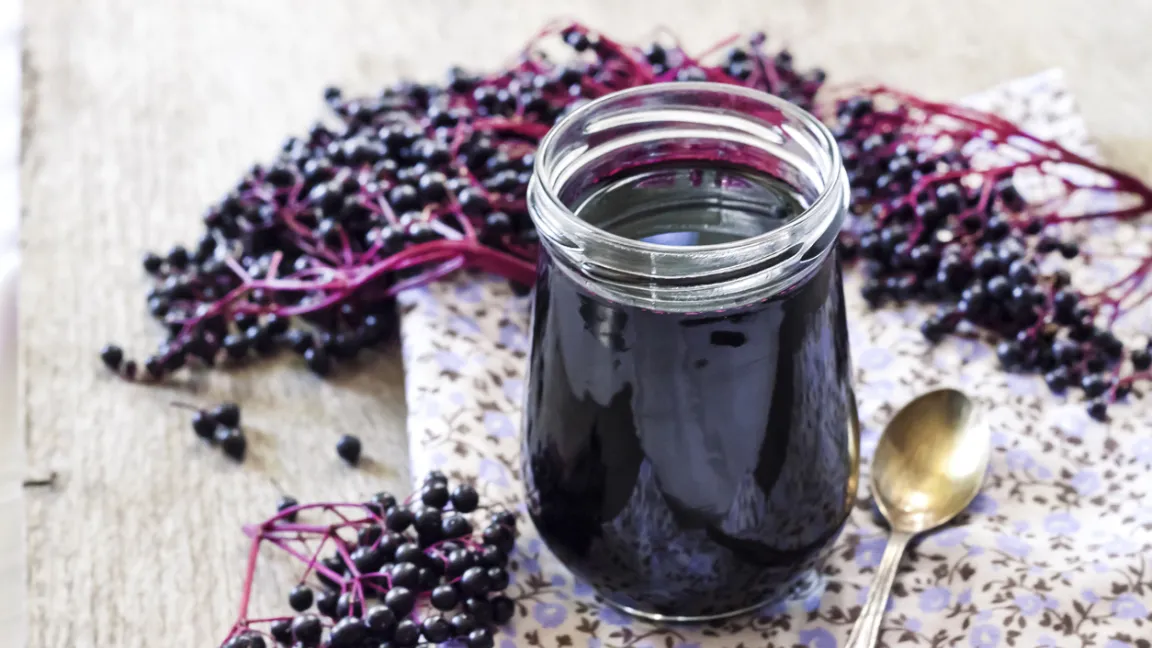 Holunderbeeren werden gerne zu Gelee verarbeitet.
