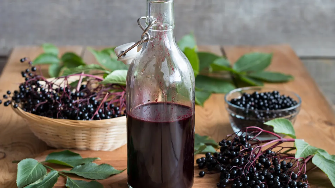 Holundersaft ist gesund und kann vielfältig weiterverarbeitet werden.