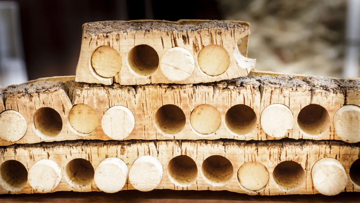 Flaschenverschlüsse aus Kork sind ein Naturprodukt mit Vor- und Nachteilen.