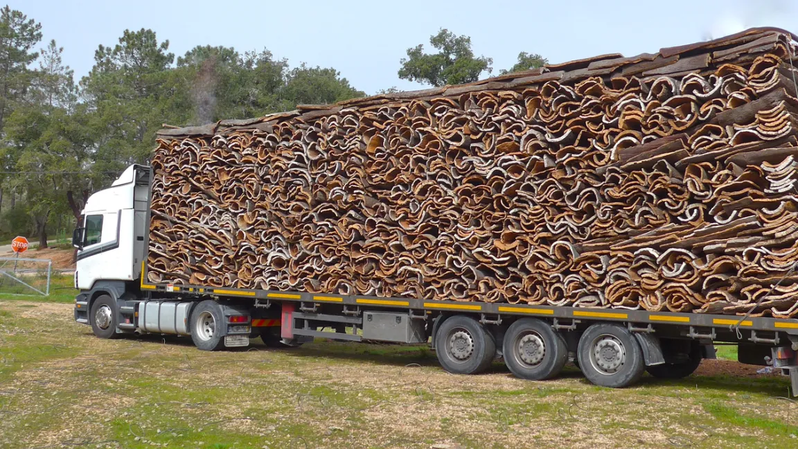 Transport der geernteten Korkstücke in Portugal.