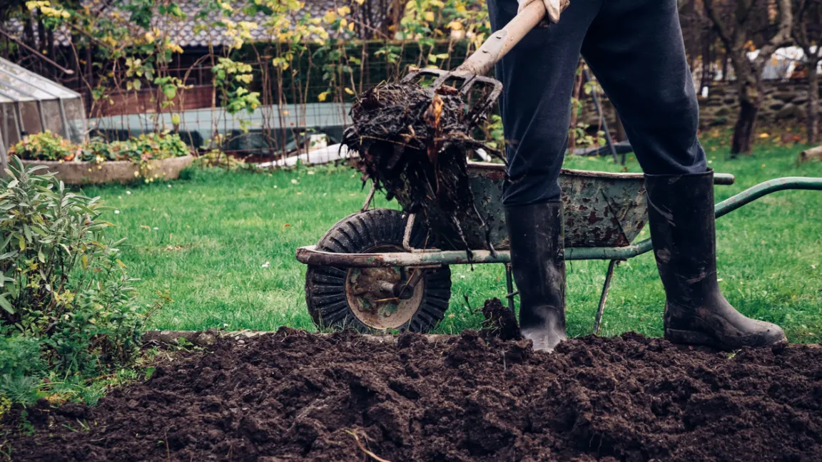 Kompost versorgt den Gartenboden mit organischer Substanz und Nährstoffen.
