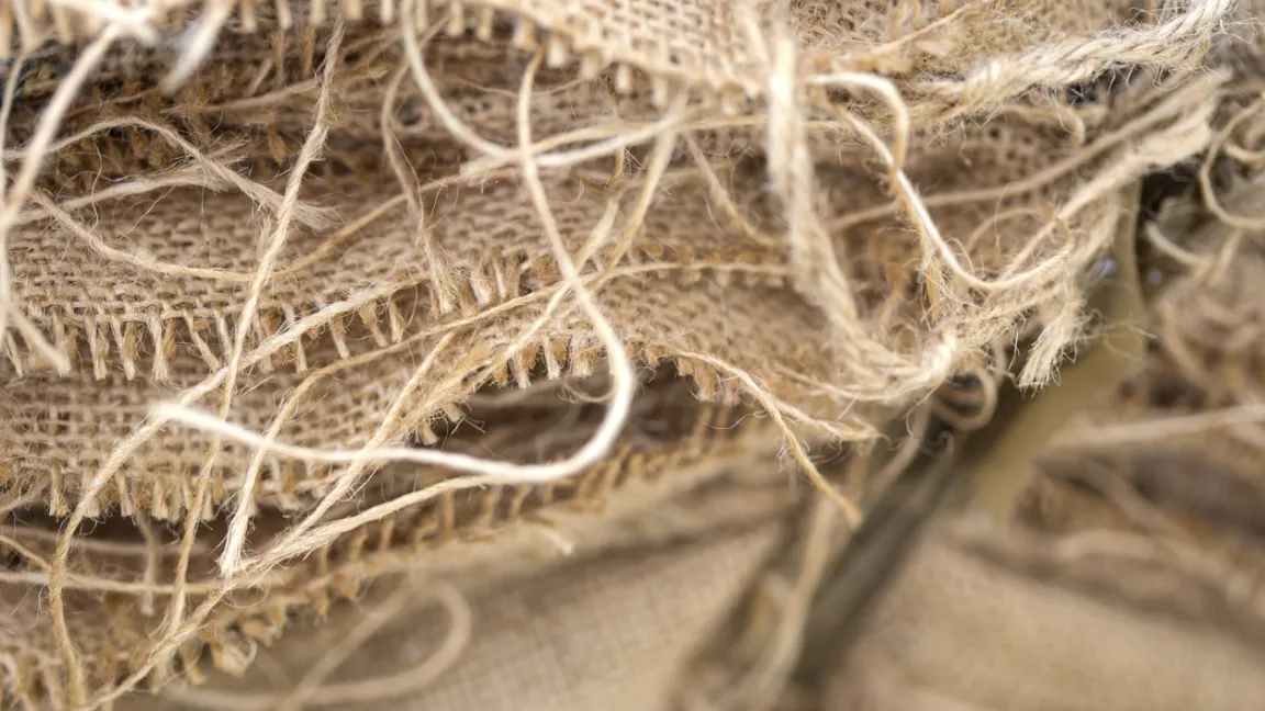 Aus dem Jute-Garn werden vor allem Säcke oder Beutel hergestellt, neuerdings auch Dämmstoffe, Geotextilien oder Verbundwerkstoffe.&nbsp;