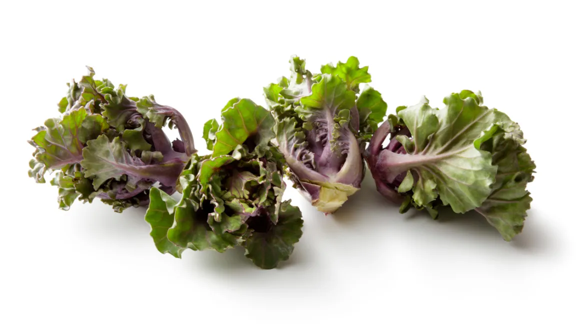 Flower Sprouts werden auch als Kalettes, Röschenkohl oder Kohlröschen bezeichnet. Foto: iStock