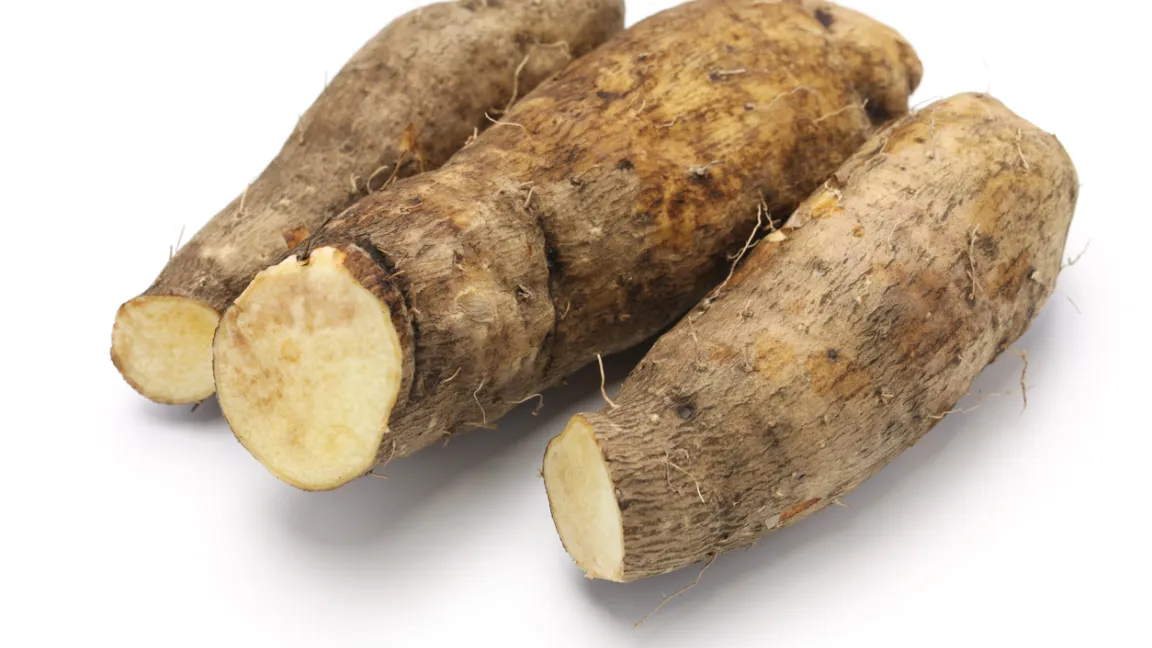 Yamswurzeln dienen aufgrund ihres Stärkegehalts als Grundnahrungsmittel vor allem in westafrikanischen Ländern. Foto: iStock