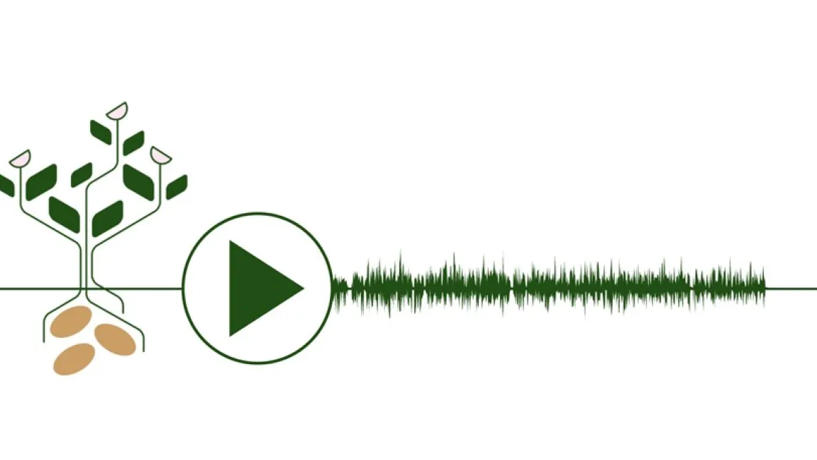Das Projekt Plantisonics macht das Erbgut von Pflanzen zum Hörerlebnis. Bild: pflanzenforschung.de