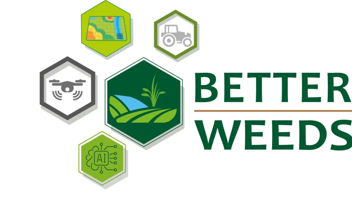 Vier Schritte gehören zum Verbundprojekt „Better Weeds“. Grafik: A. Wolck/Julius Kühn-Institut (JKI)