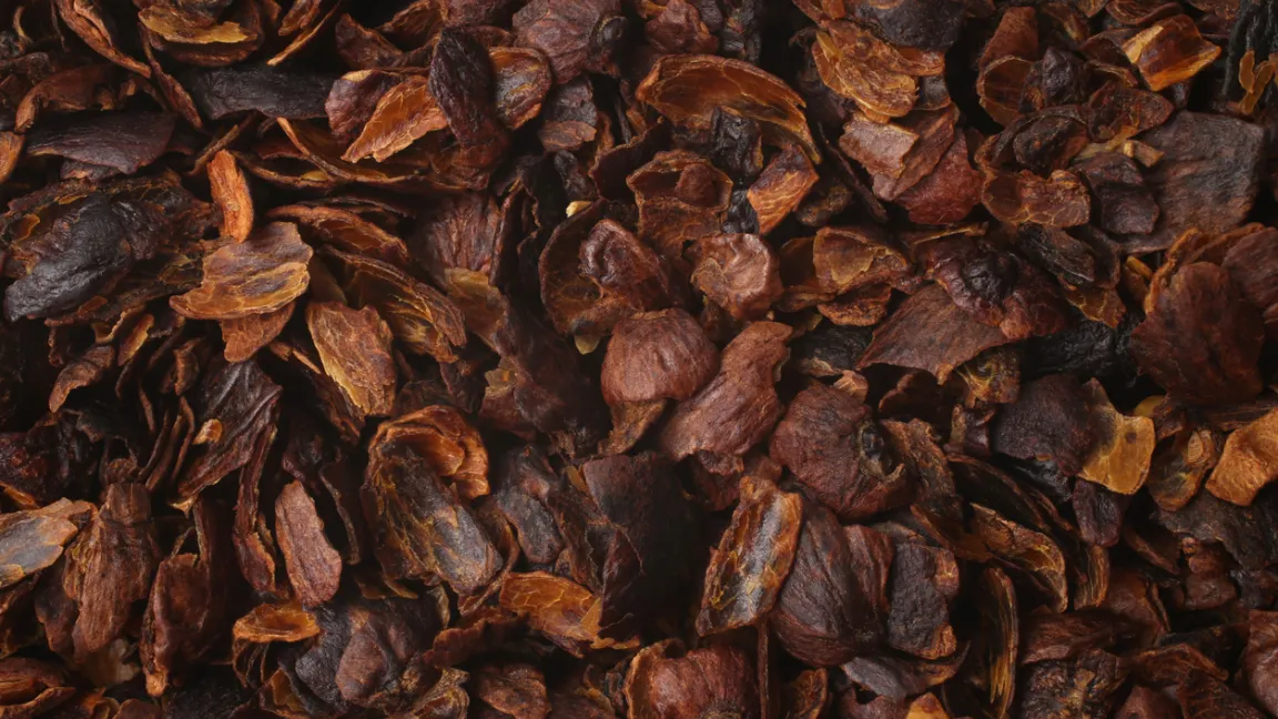 Cascara – das getrocknete Fruchtfleisch der Kaffeekirsche. Foto: iStock