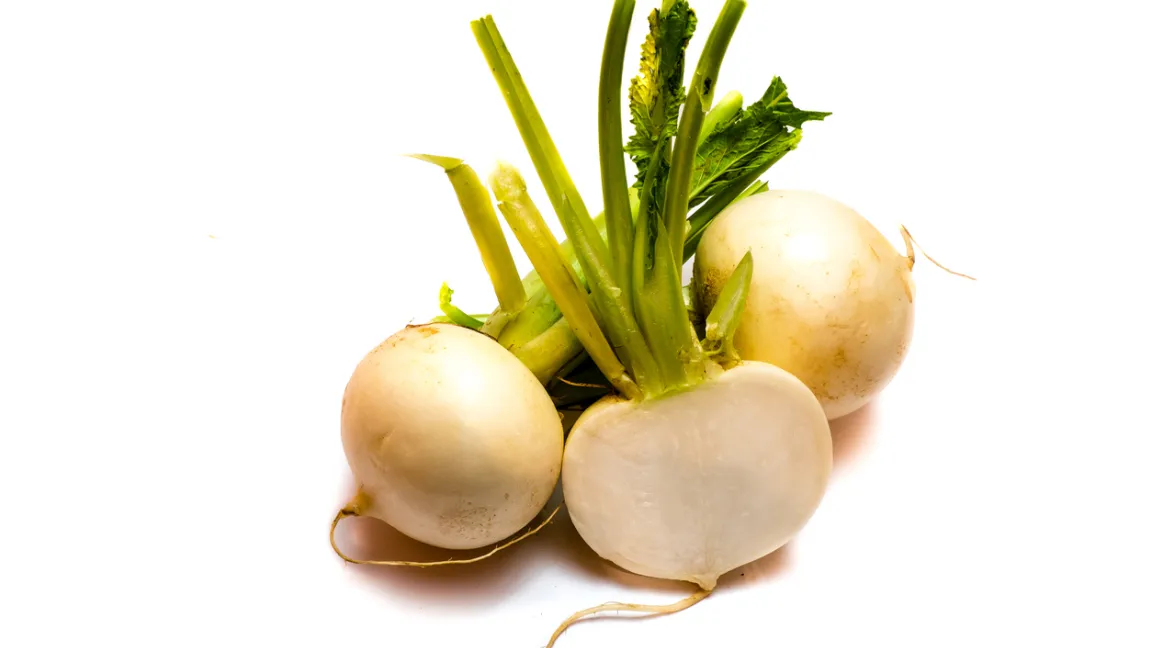 Das Fruchtfleisch der Mairüben ist zart und lecker schmeckend. Foto: iStock