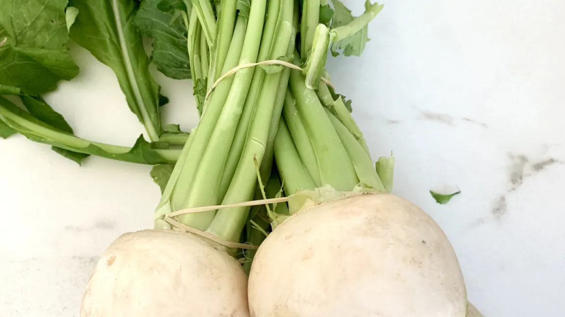 Im Mai ist für die Mairübe Hochsaison. Im Garten eignen sich Mairüben auch für Anfänger, wenn ein paar Regeln beachtet werden. Foto: iStock