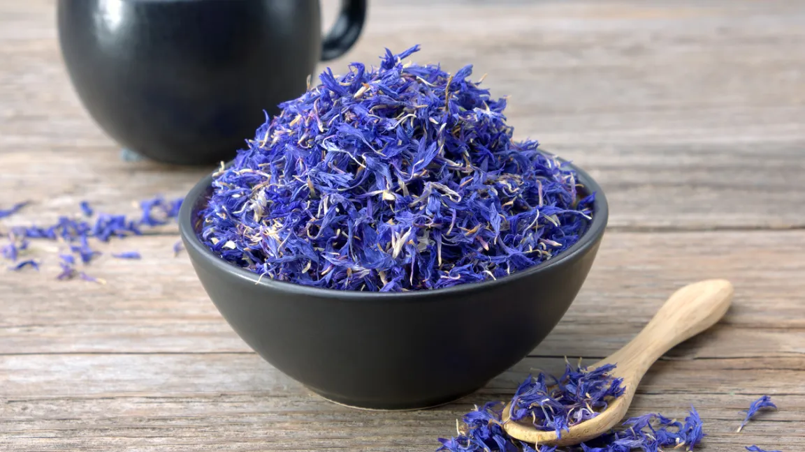 Pur oder in Mischungen werden die Blütenblätter der Kornblume gerne als Tee aufgegossen. Foto: iStock