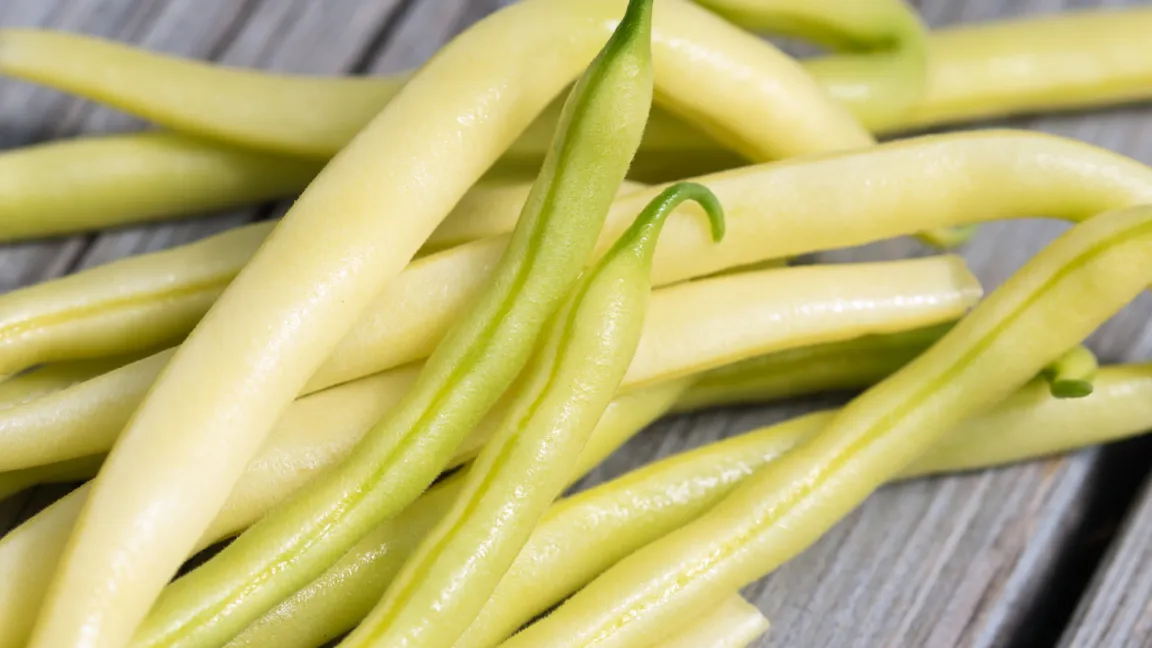 Wachsbohnen gehören zu den Schmetterlingsblütlern und sind eine besondere Form der Gartenbohnen. Foto: iStock