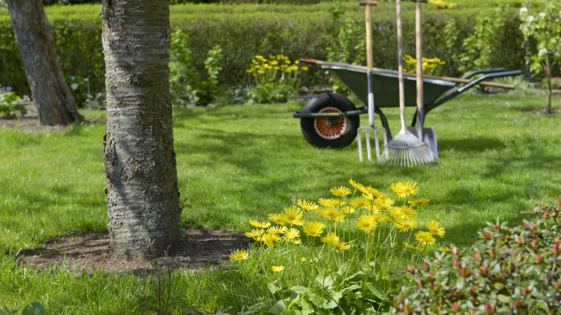 Gärtner müssen sich den neuen Klimabedingungen anpassen. Foto: iStock