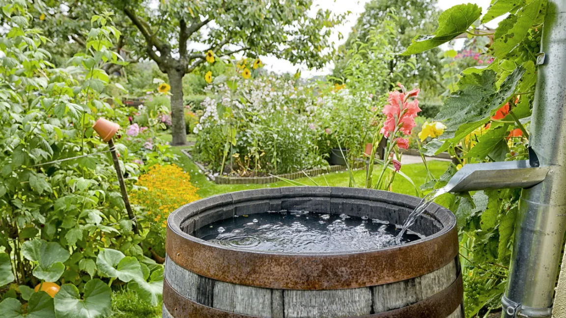 Die Regentonne ist ein Muss für Garten-Fans. Foto: iStock
