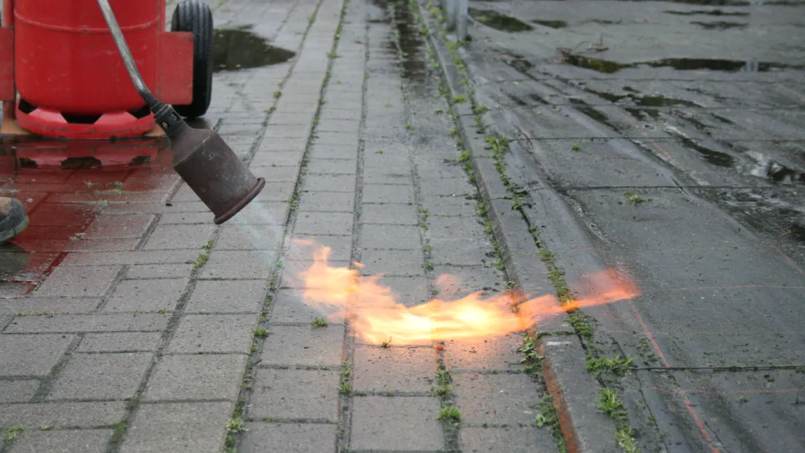 Das Abflammen von Unkraut wirkt gut, aber wegen der Feuergefahr ist höchste Vorsicht geboten! Foto: Heinrich Beltz