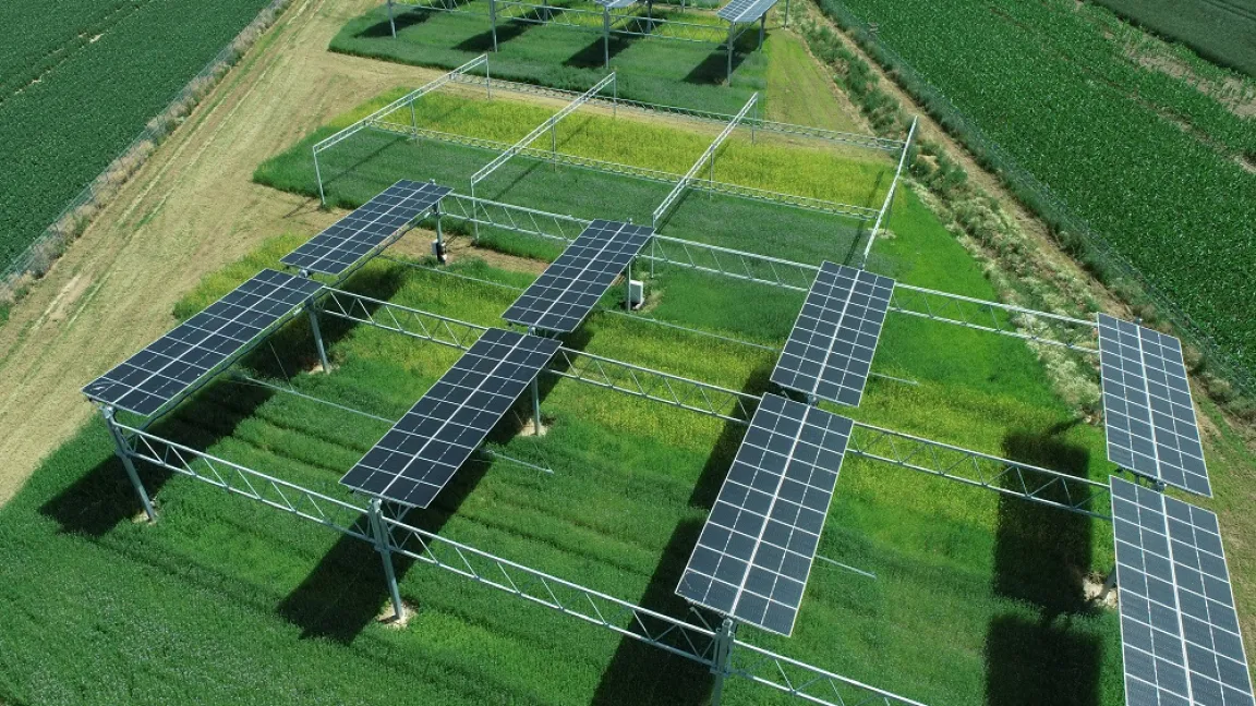 In der Agriphotovoltaik geht es darum, mittels Photovoltaik Energie über landwirtschaftlich oder gärtnerisch genutzten Flächen zu erzeugen. Foto: Forschungszentrum Jülich / BiooekonomieREVIER / Christina Kuchendorf