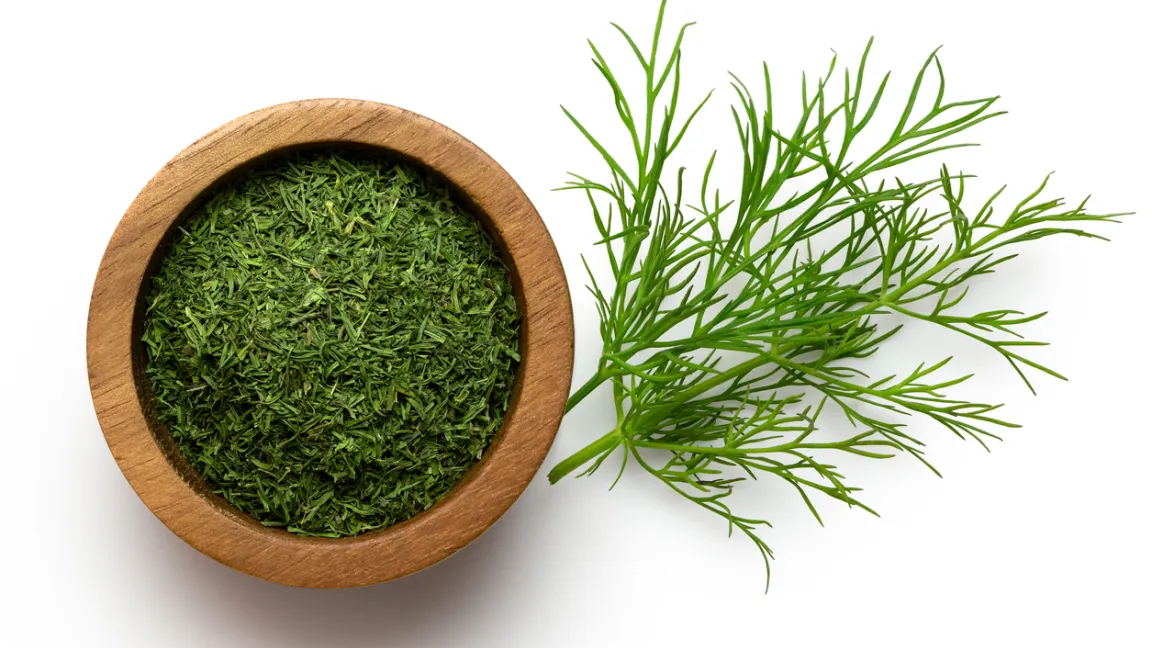 Dill ist ein Doldenblütler wie viele andere unserer Pflanzen im Garten. Foto: iStock