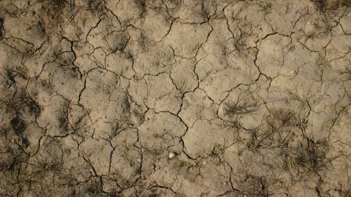 Die Ernährungssicherheit ist bereits jetzt in einigen Teilen der Welt nicht gewährleistet. Der Klimawandel bedroht sie zusätzlich. Foto: Catrin Hahn
