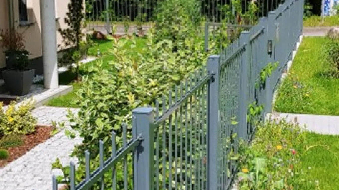 Blühstreifen und einheimische Pflanzen fördern die Artenvielfalt. Foto: Catrin Hahn