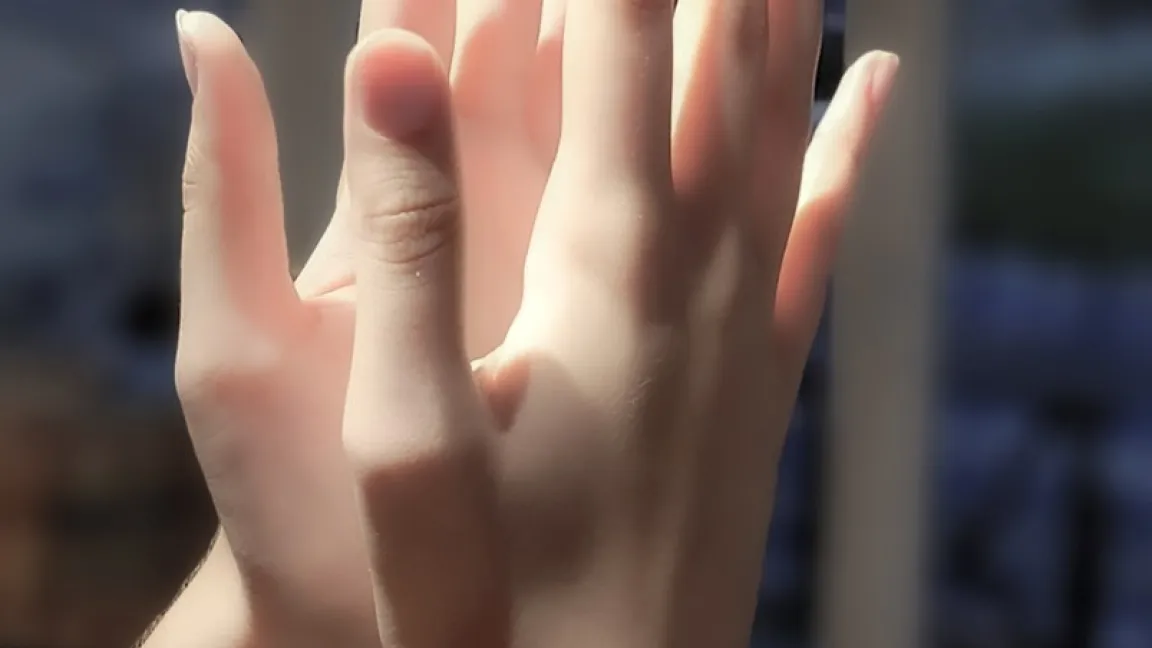 Die Chiralität ist ein Phänomen, das spiegelbildliche Strukturen, wie zum Beispiel unsere Hände, beschreibt. Bei Molekülen, die von Pflanzen abgegeben werden, existiert es auch. Das Verhältnis der chiralen Moleküle gibt Auskunft über den Zustand der Pflanze. Foto: Catrin Hahn