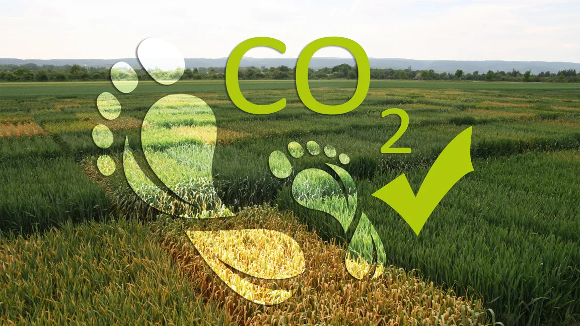 Zwei Fußabdrücke vor dem Hintergrund von Versuchsparzellen mit Weizensorten symbolisieren, dass der Züchtungsfortschritt zum Klimaschutz beiträgt, durch Reduktion des CO2-Fußabdrucks. Collage Zetzsche-Wolck/JKI