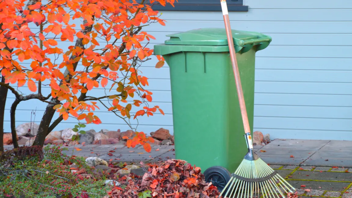 Die Biotonne hat nur ein begrenztes Fassungsvermögen. Wer Bäume im Garten hat, muss sich Gedanken über die sinnvolle Verwertung von Falllaub machen. Foto: Matthias Wiedenau