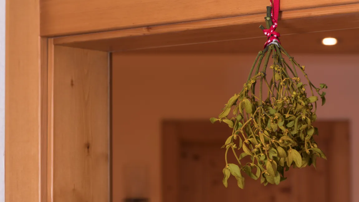 Ein Mistelzweig über der Tür soll die Bewohner vor allem Schlechten beschützen. Foto: iStock