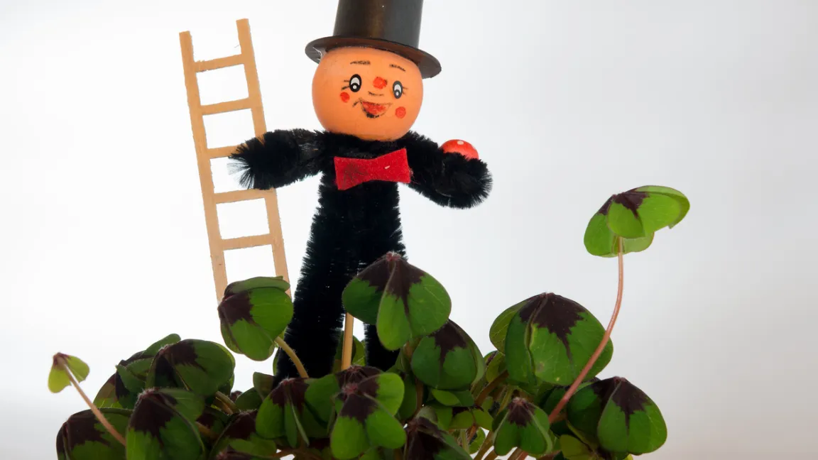 Beliebtes Mitbringsel zu Silvester: der Glücksklee. Foto: iStock