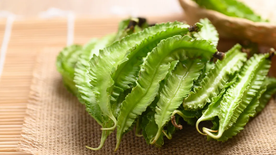 Die Goabohne wird wegen der Säume an den Hülsen auch Flügelbohne genannt. Foto: iStock