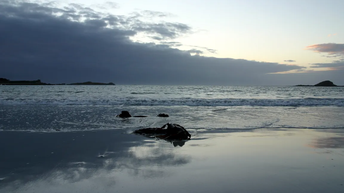 Meerwasser, Cyanobakterien und ein Meeresbakterium, dazu Sonnenlicht und CO2 – fertig ist die „Fabrik“ für chemische Grundstoffe. Foto: Catrin Hahn