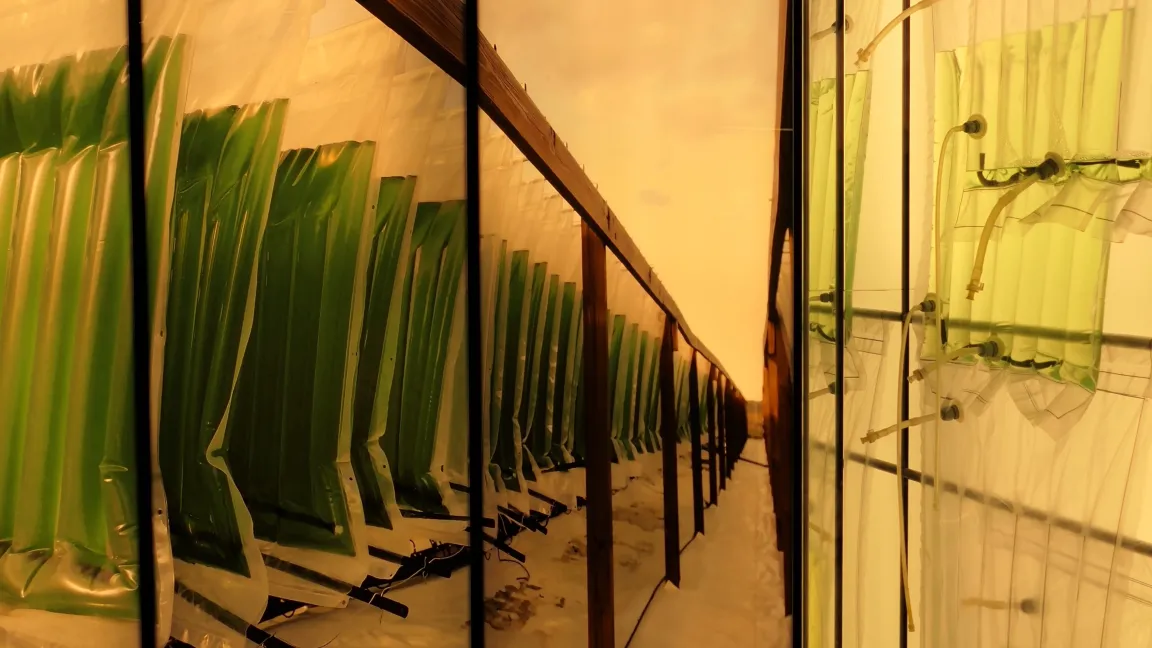 So könnte eine solche Fabrik, praktischerweise gleich am Meeresufer gelegen, aussehen. Dieses Modell steht im Zuckermuseum in Berlin. Foto: Catrin Hahn