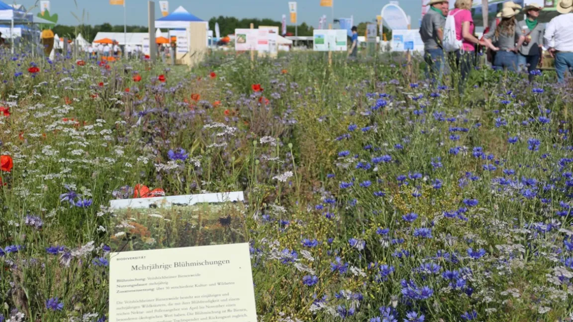 Auf Feldtagen informieren sich Landwirte über die Vorteile von Biodiversitätsmaßnahmen. Auch der IVA bietet viele Informationen zum Thema Biodiversität. Foto: Catrin Hahn