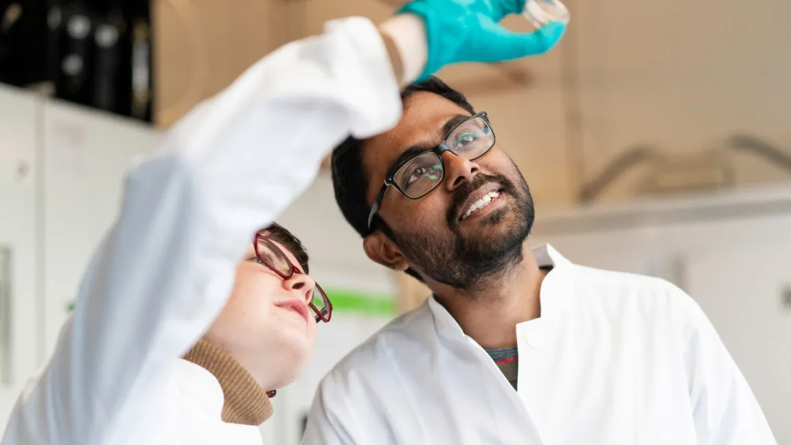 Erstautor der Studie: Dineshkumar Kandasamy (MPI) betrachtet mit einer Kollegin einen Versuch mit tunnelbauenden Borkenkäfern in einem Pilz-Medium. Foto: Anna Schroll / MPI