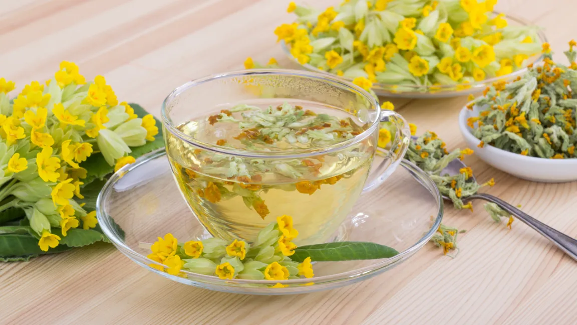 Tee aus den Blüten von Schlüsselblumen wirken hustenlösend. Foto: iStock