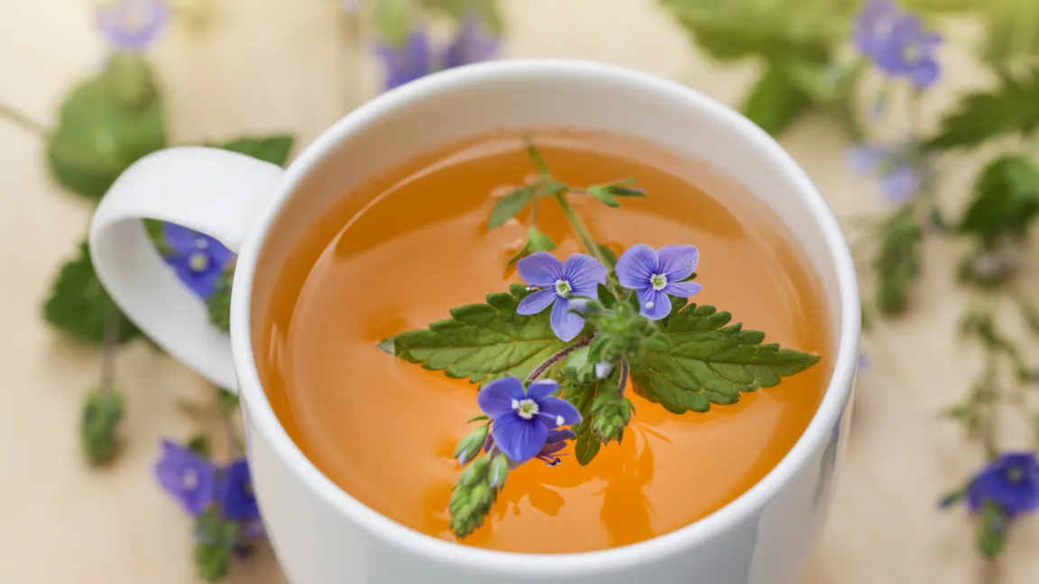 Tee aus Ehrenpreis soll vielfältige Heilwirkungen besitzen. Foto: iStock
