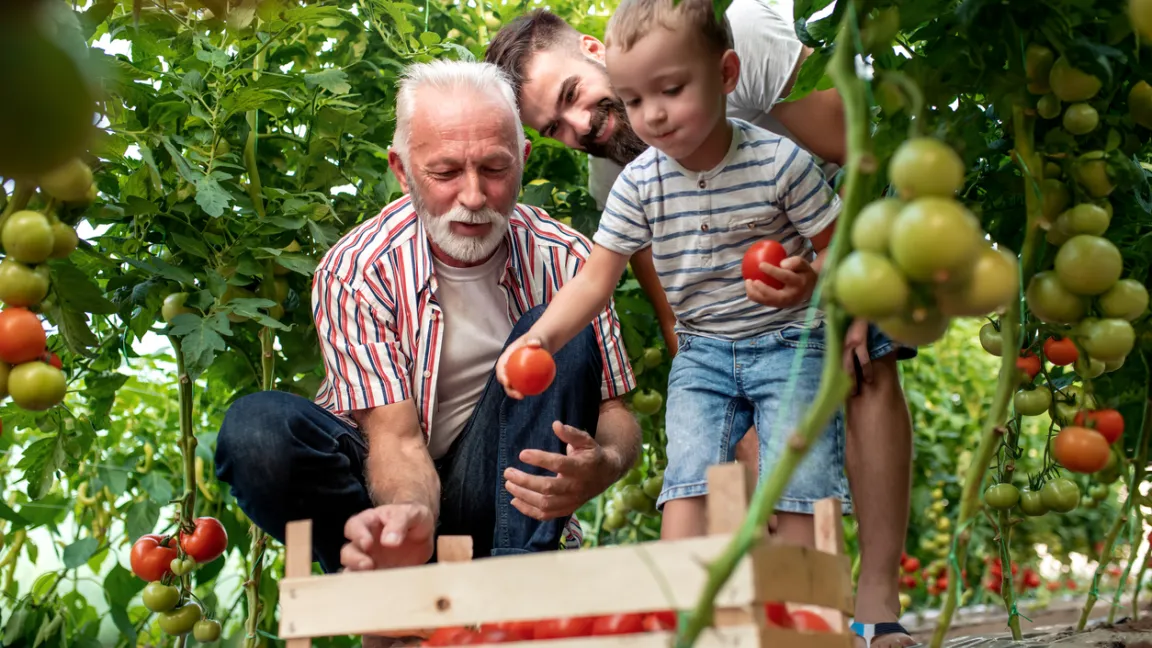 Nicht nur Kinder finden im Kleingarten einen geschützten Raum, in sie sich frei entfalten und viel über die Natur, die Umwelt und eine gesunde Ernährung lernen können. Foto: iStock