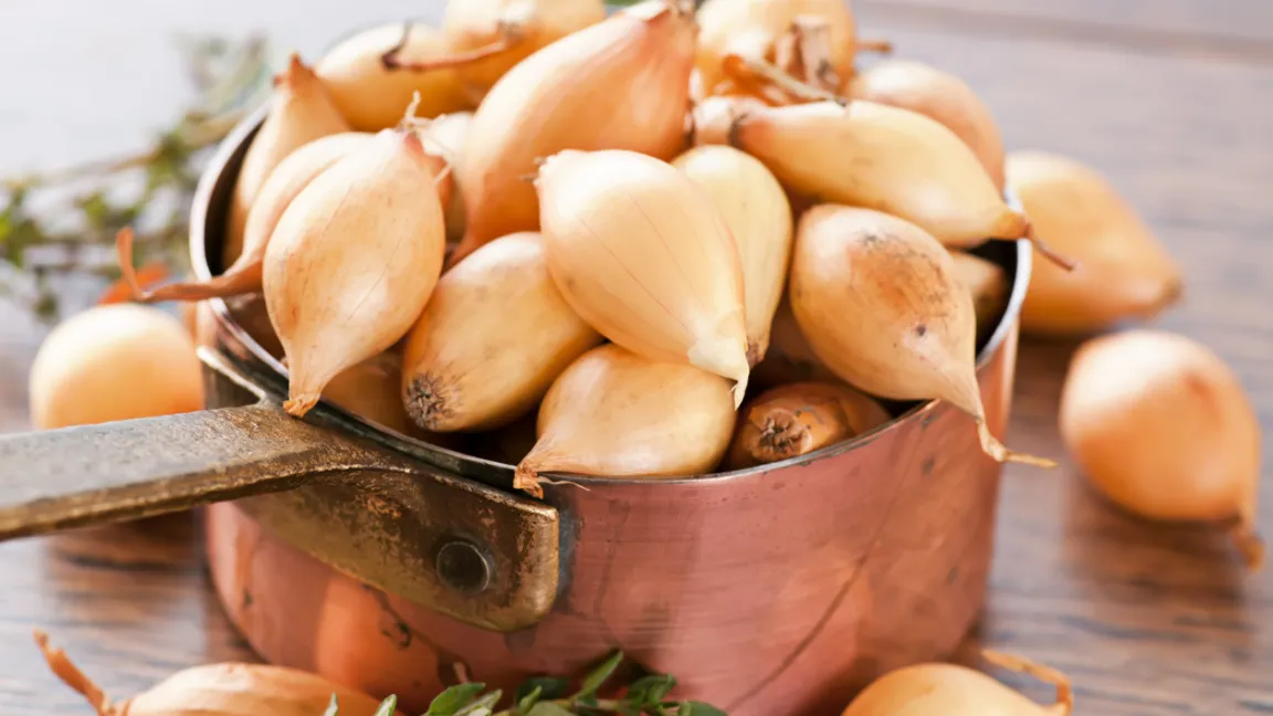 Auch Perlzwiebeln gehören zu den gefährdeten heimischen Nutzpflanzen. Foto: iStock