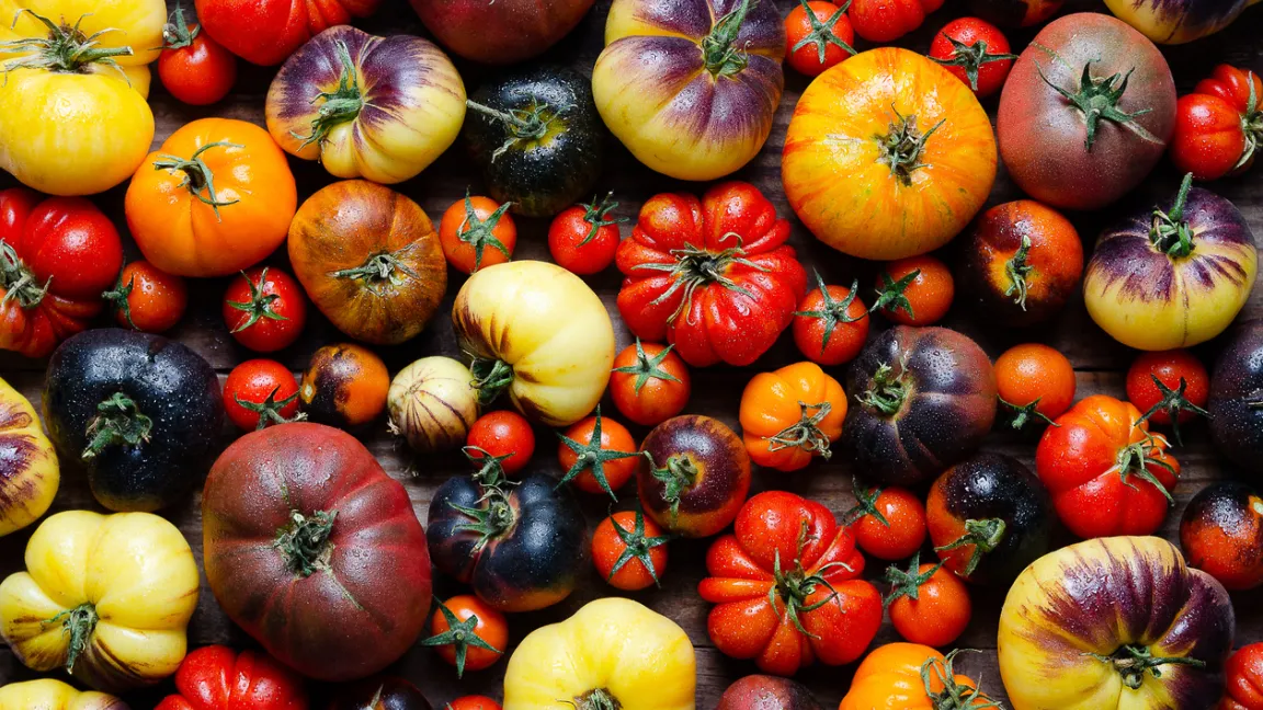 Mit der Roten Liste soll die Sortenvielfalt heimischer Nutzpflanzen erhalten und gefördert werden. Foto: iStock