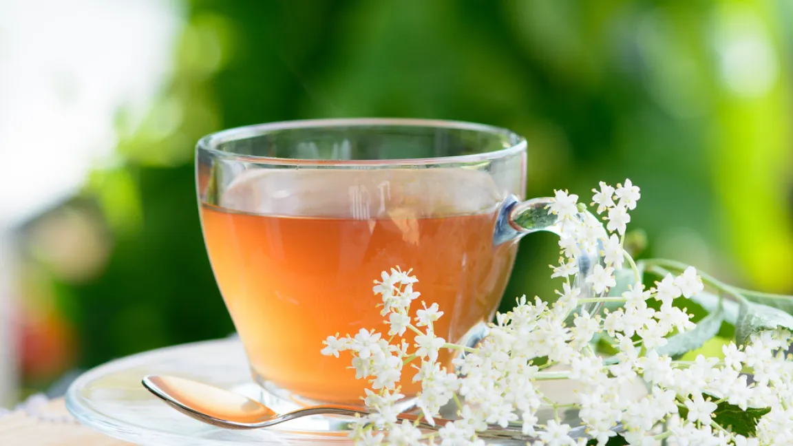 Holunderblüten-Tee hat sich zur Linderung von Erkältungssymptomen bewährt. Foto: shutterstock