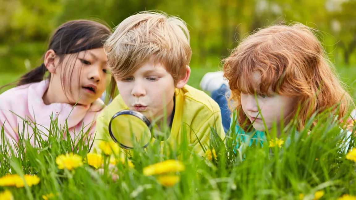 Kinderfreundliche Pflanzen bieten viel Potenzial fürs Beobachten und Lernen. Foto: Shutterstock