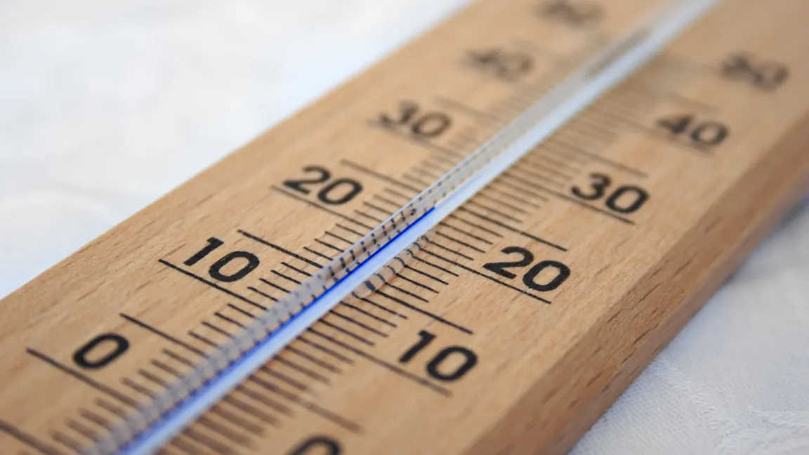 Anders als bisher angenommen, können Wurzeln im Boden selbst die Temperatur feststellen und darauf reagieren. Foto: Pixabay