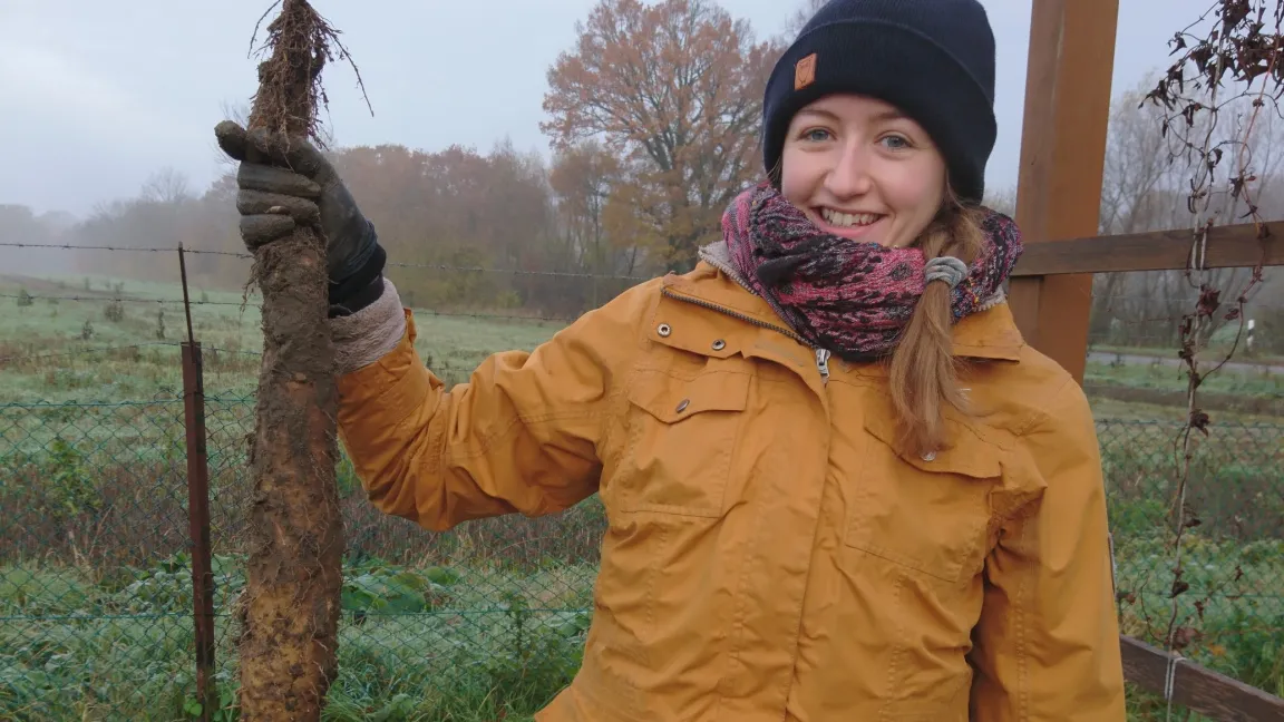 Dr. Janina Epping erforscht an der Uni Münster Grundlagen für die züchterische Bearbeitung und irgendwann vielleicht einen Anbau der Chinesischen Yams. Foto: Dr. Janina Epping/Universität Münster