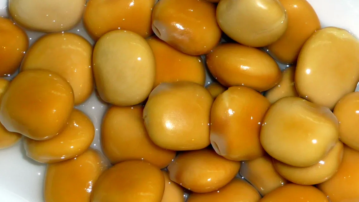 Gequollene Lupinensamen sind in der Türkei als Tirmis bekannt. Foto: Wikipedia