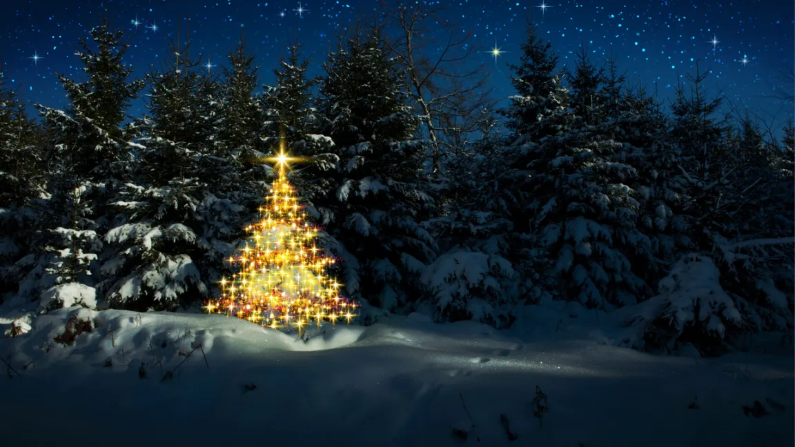 Waldweihnacht - für viele der Innbegriff von friedlichen Weihnachten in der Natur. Doch es gilt, Rücksicht auf Wildtiere zu nehmen. Foto: iStock