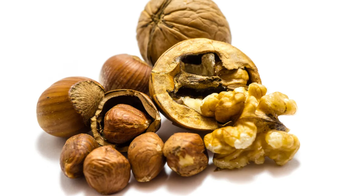 Hasel- und Walnüsse wachsen auch in Deutschland. Foto: iStock