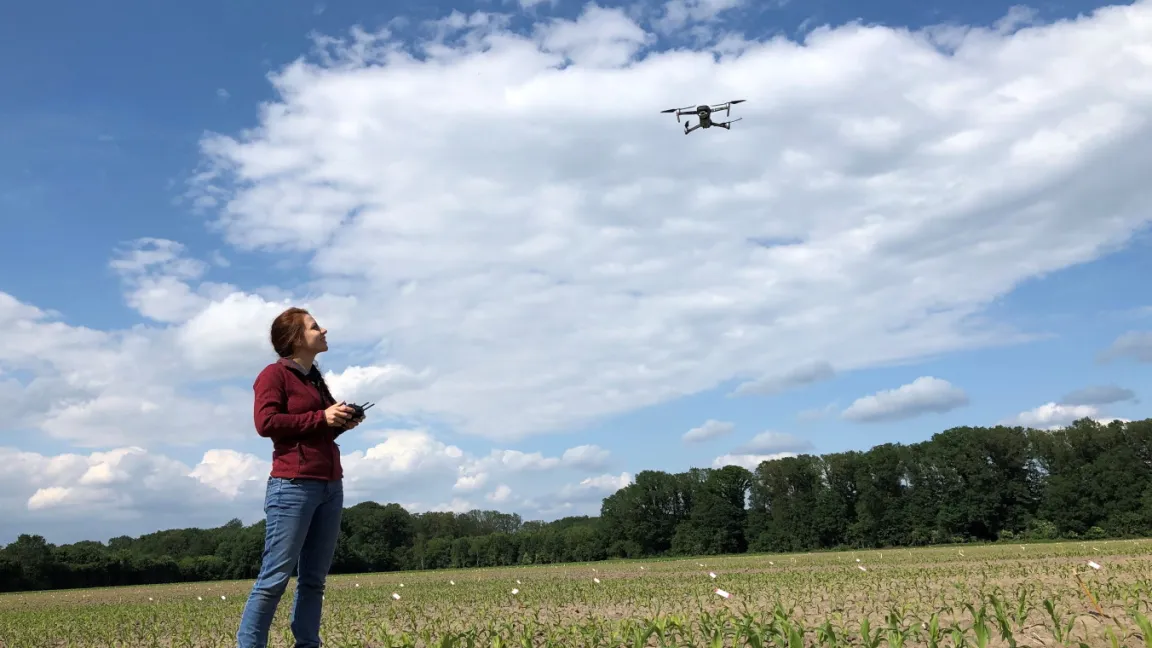 Drohnen werden zu verschiedenen Wachstumsstadien für die Merkmalserfassung eingesetzt. Hier werden Daten zur Jugendentwicklung gesammelt. Foto: Corteva Agriscience